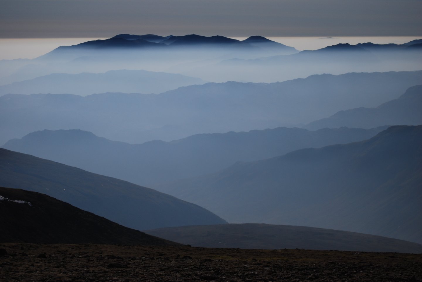 From Dollywagon
